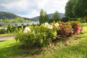 Le chalet de warren - vue sur le lac