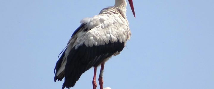 Superbe location pour découvrir les Vosges