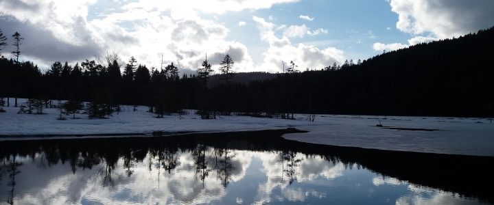 Parfait! Je recommande +++