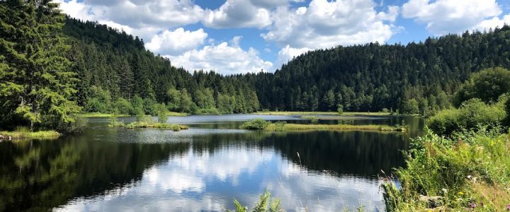 Magnifique semaine au bord du lac