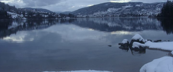 Une excellente adresse à retenir !