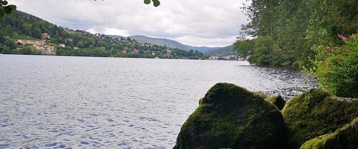 Bon accueil, appartement lumineux et très bien situé