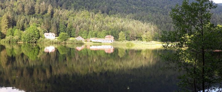 Appartement exceptionnel