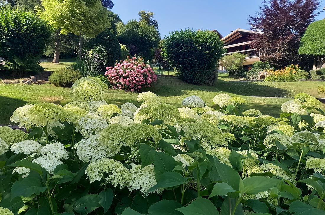 Le chalet de warren - vue du parc et mini-golf